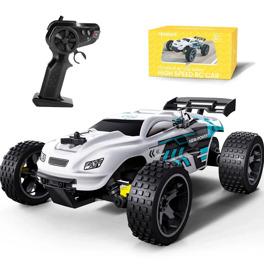 1:18 Scale 2WD Offroad Buggy RC Car with Remote Controller and Box