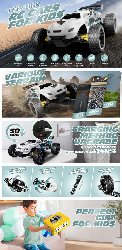 RC Cars 1:18 Scale 20 KM/H 2WD Offroad Buggy